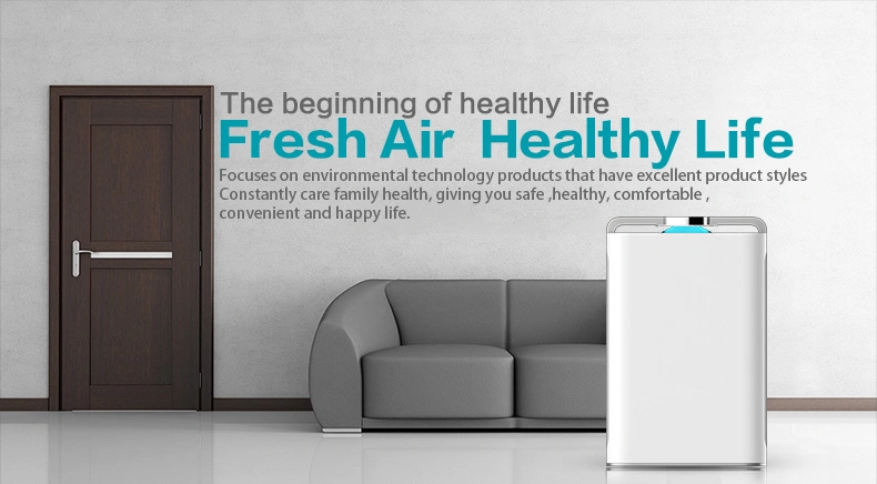 Hospital Grade Custom Antiviral UV Sterilize Air Purifier