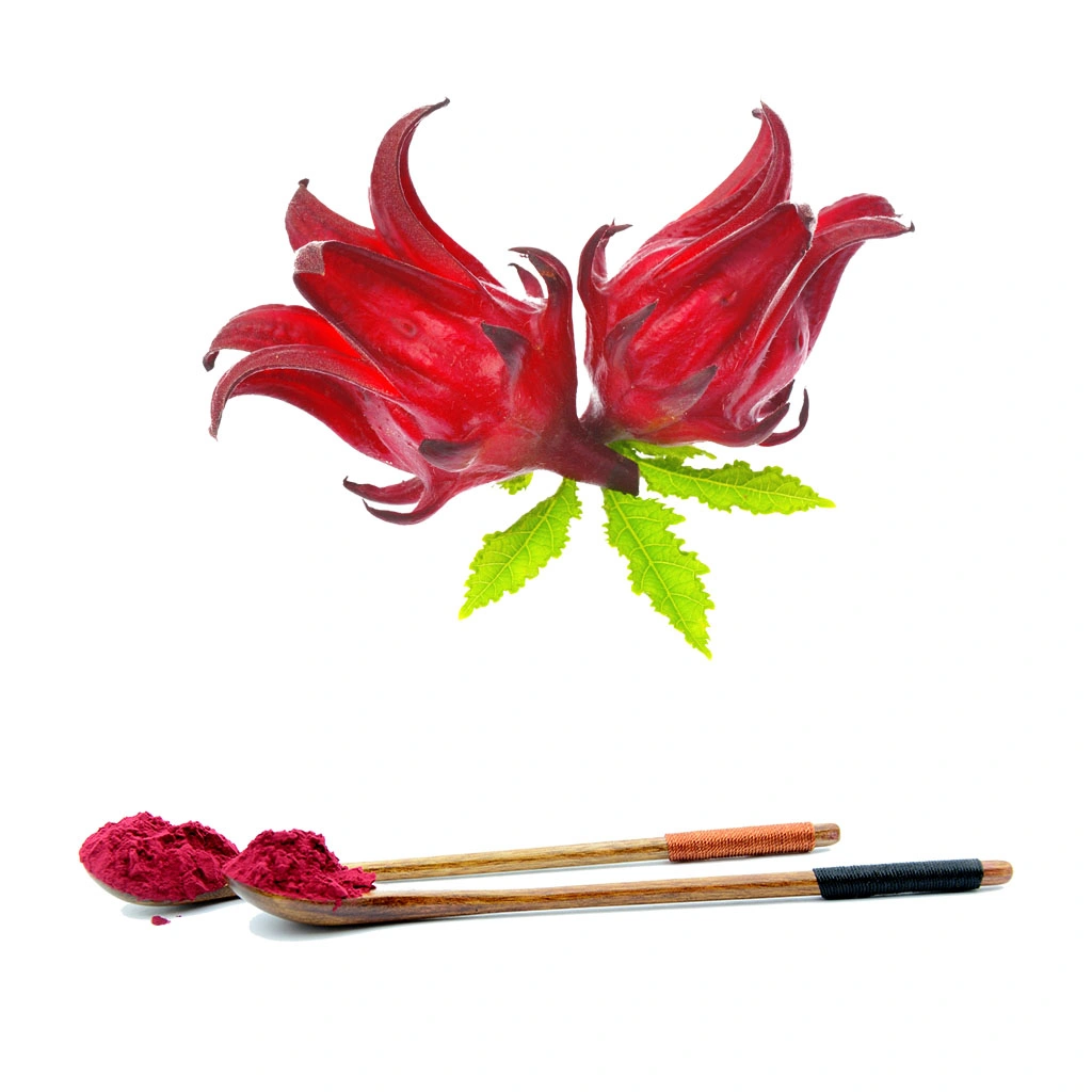 2023 Pure Natural Organic Hibiscus Superfood Sabdariffa Flower Extract Roselle Hibiscus Powder