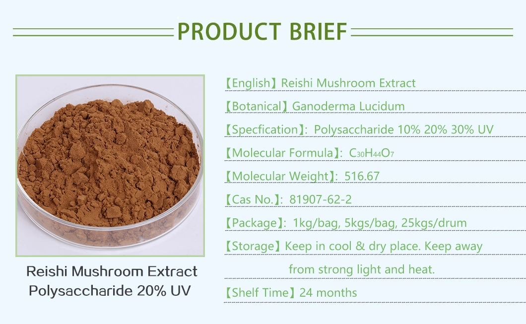 Organic Ganoderma Mushroom Reishi Mushroom Mycelium Spore Extract Powder 30% Polysaccharides for Enhances Immunity