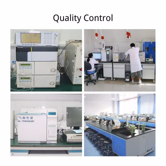 World Well-Being Natürlicher Pflanzenextrakt, Lebensmittelzusatzstoff, Süßstoff, Süßtee-Extrakt-Pulver, 70–85 % Rubusosid, Süßtee-Extrakt