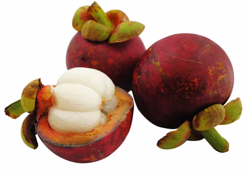 Mangostan-Extrakt zur Tumorbekämpfung, der in Ernährungsprodukten verwendet wird